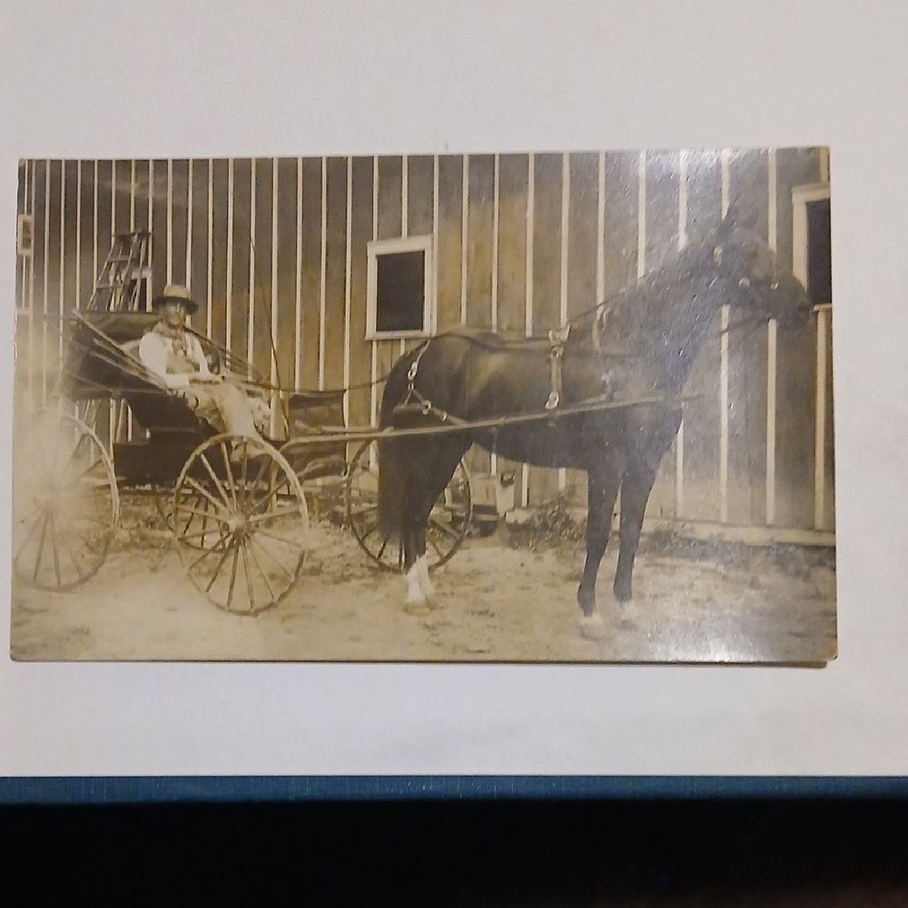Vintage Sepia Horse & Carriage Art Print — Brown and Cream